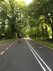 Blurry shot of the beautiful roads we started off in. Forests! 