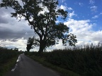 Tiny one-lane farm roads