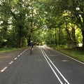 Blurry shot of the beautiful roads we started off in. Forests! <3